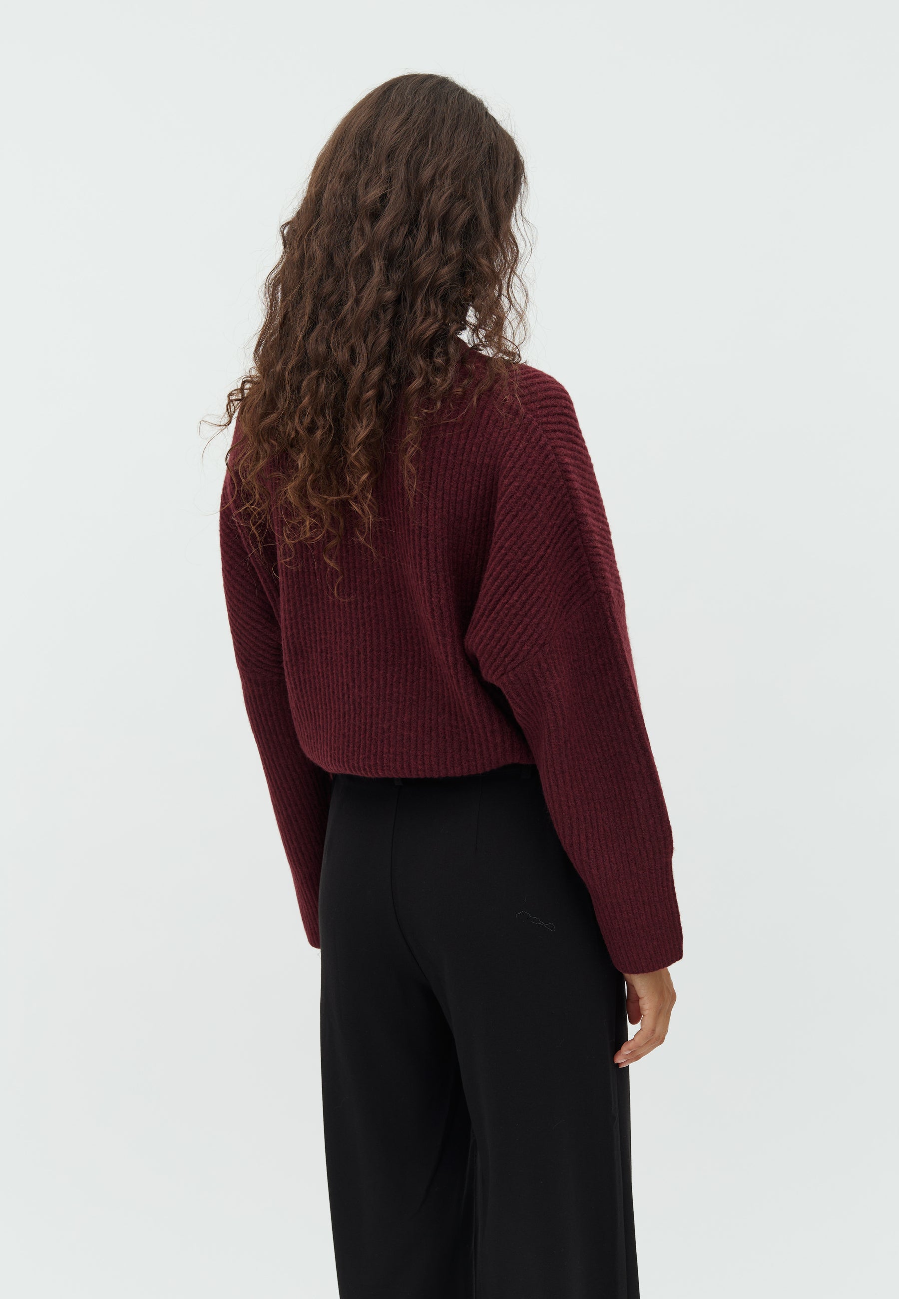 Gillian_Fig_Model_2