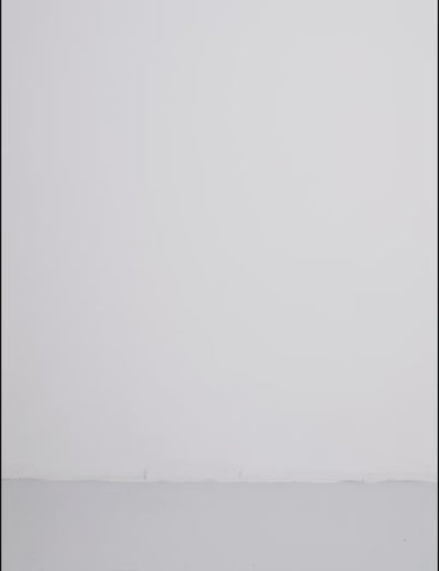 Peplina-M_Fig_Video_0